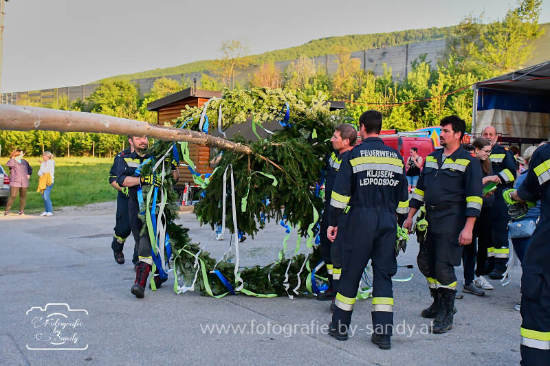 maibaum2025-54-standard.jpg