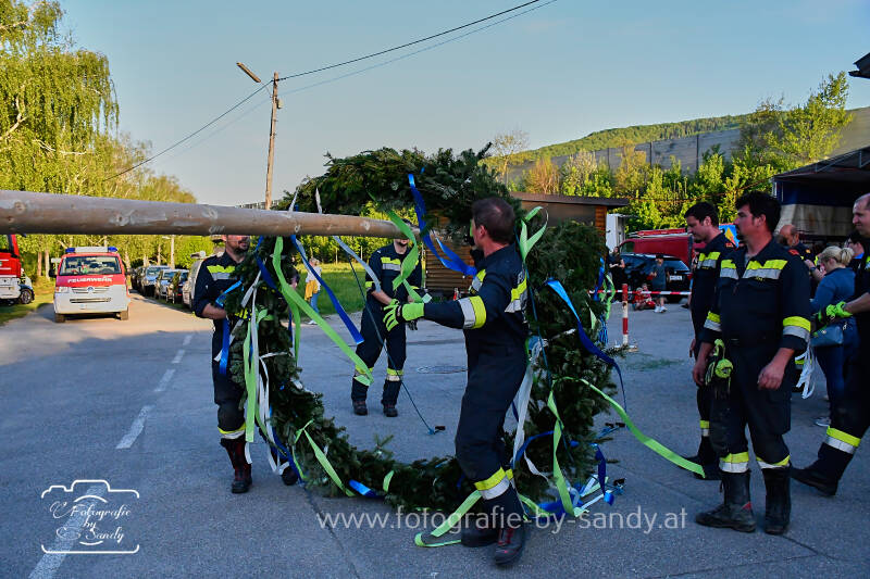 maibaum2025-56-standard.jpg