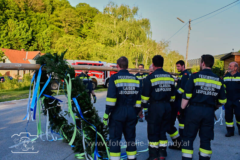 maibaum2025-57-standard.jpg