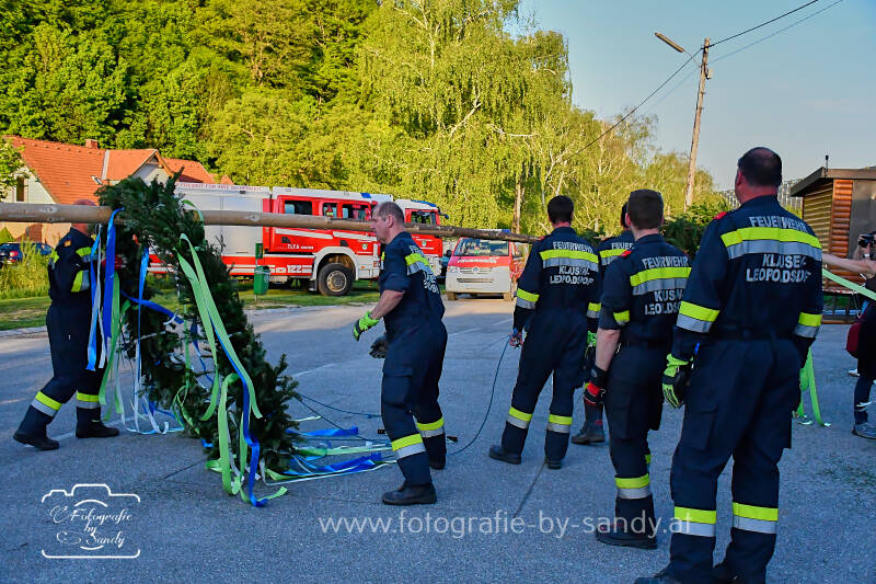maibaum2025-58-standard.jpg