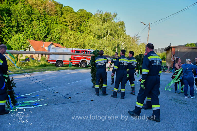 maibaum2025-60-standard.jpg