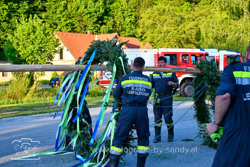 maibaum2025-71-standard.jpg