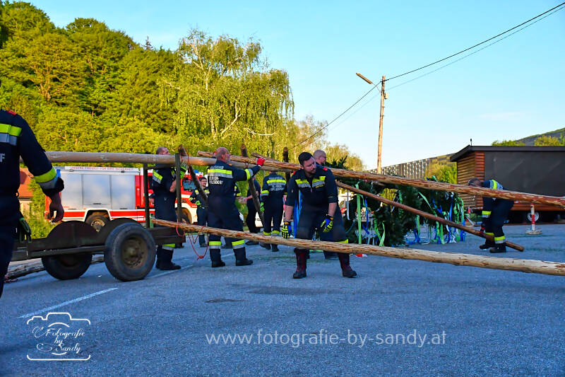 maibaum2025-77-standard.jpg