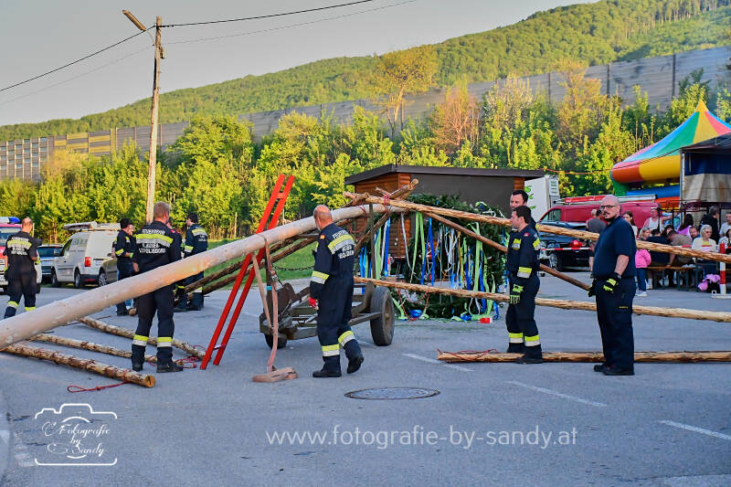 maibaum2025-80-standard.jpg
