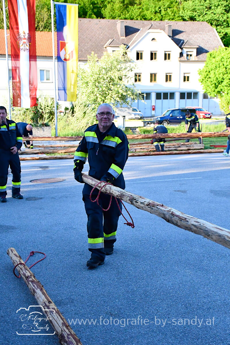 maibaum2025-9-standard.jpg
