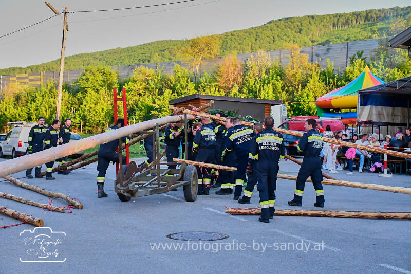 maibaum2025-91-standard.jpg