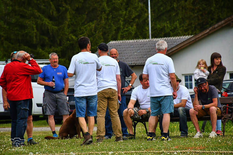 seilziehen-112-standard.jpg