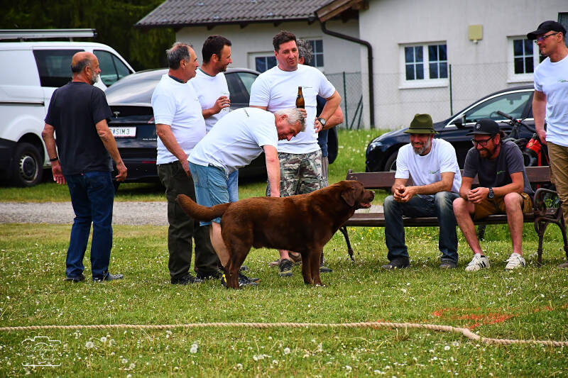 seilziehen-133-standard.jpg