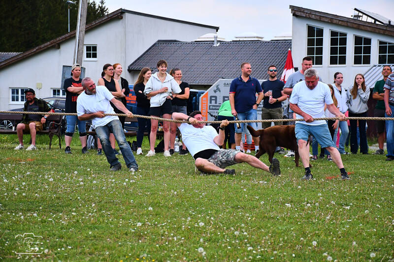 seilziehen-185-standard.jpg