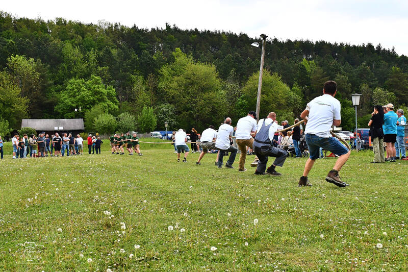 seilziehen-231-standard.jpg
