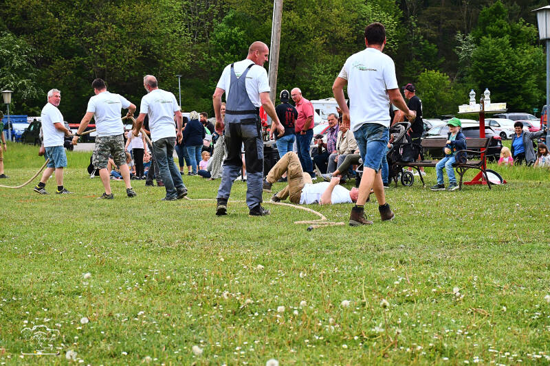 seilziehen-235-standard.jpg