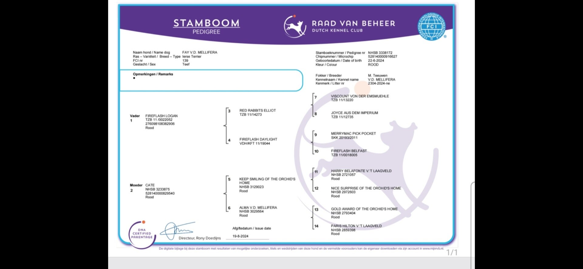 Stamboom
