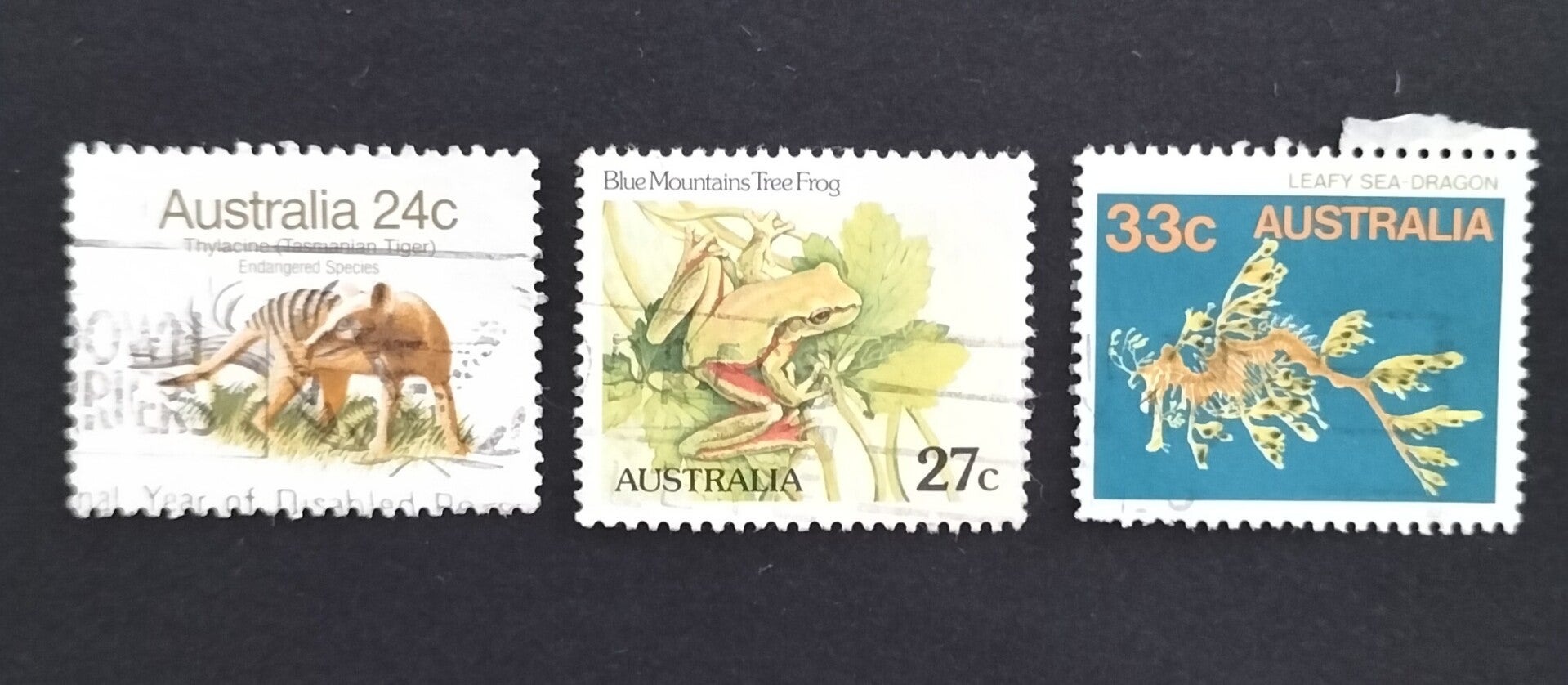 Lot 17 - Australian Animals and Fish set of 3