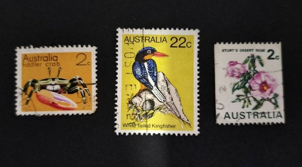 Lot 27 - Australian Flora and Fauna set of 3