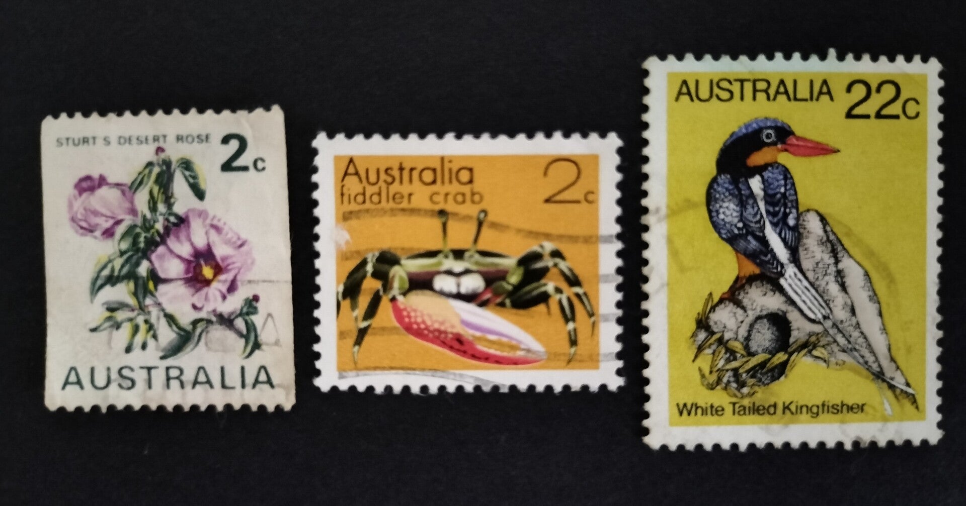 Lot 28 - Australian Flora and Fauna set of 3