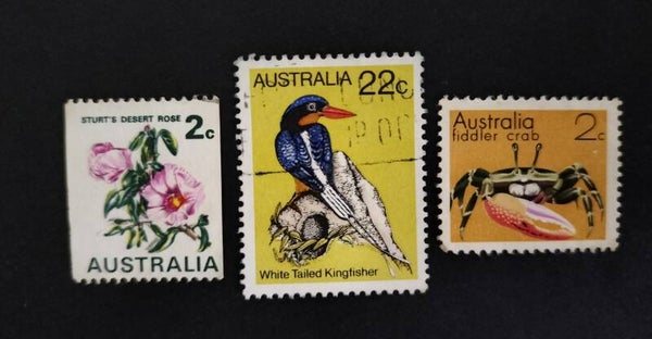 Lot 29 - Australian Flora and Fauna set of 3