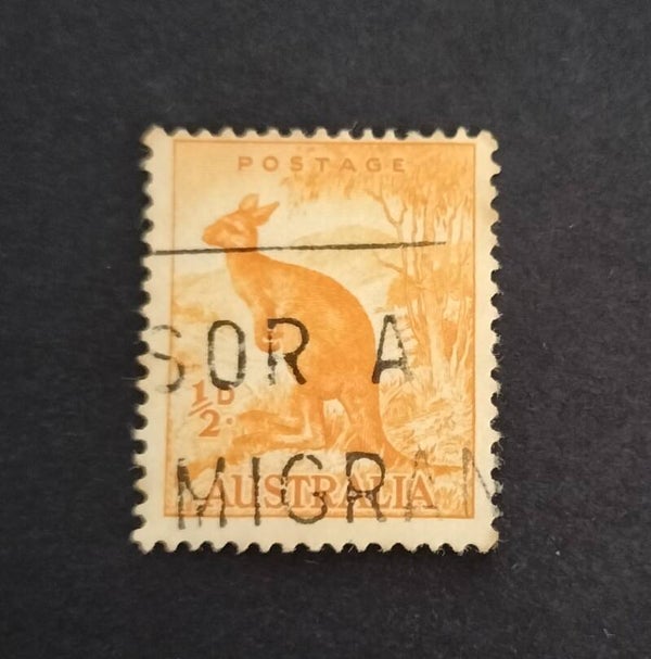 Lot 48 - Australian Kangaroo Set of 1