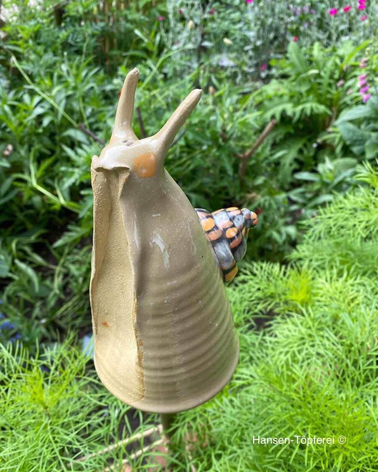 Schnecke