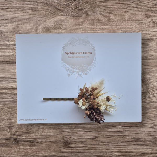 Droogbloem Schuifspeld Brownie