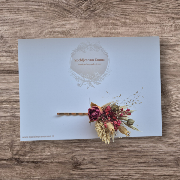 Droogbloem Schuifspeld Rosé