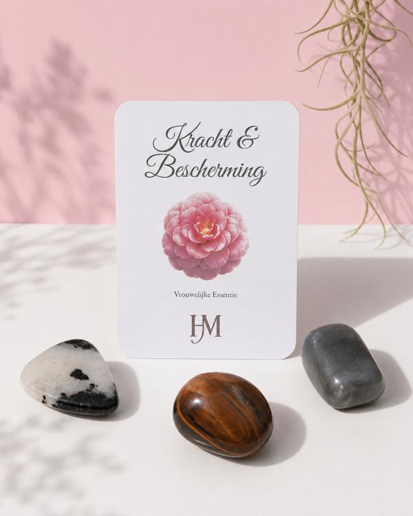 Kracht & Bescherming