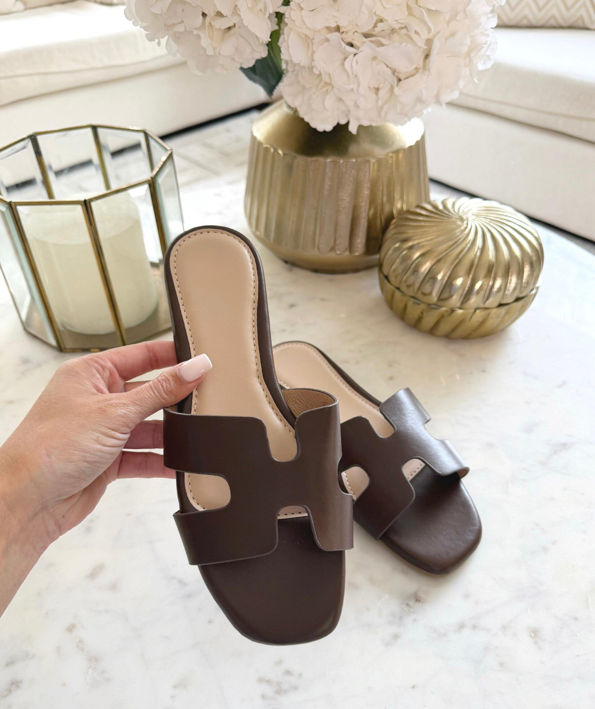 H Slipper D.Brown