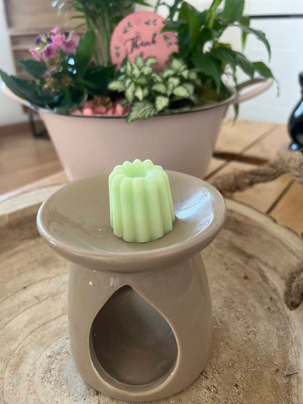 Fondant solide parfum menthe chlorophylle