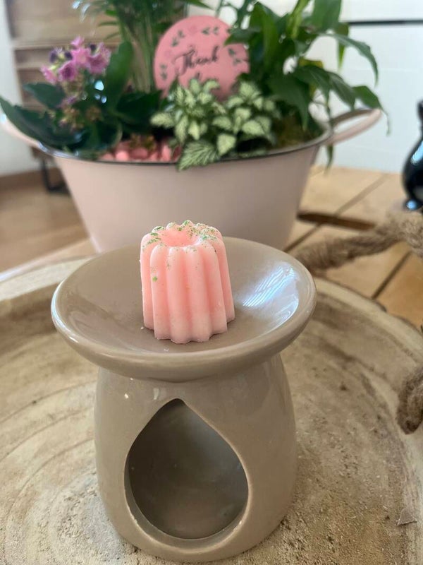 Fondant solide parfum rhubarbe agrumes