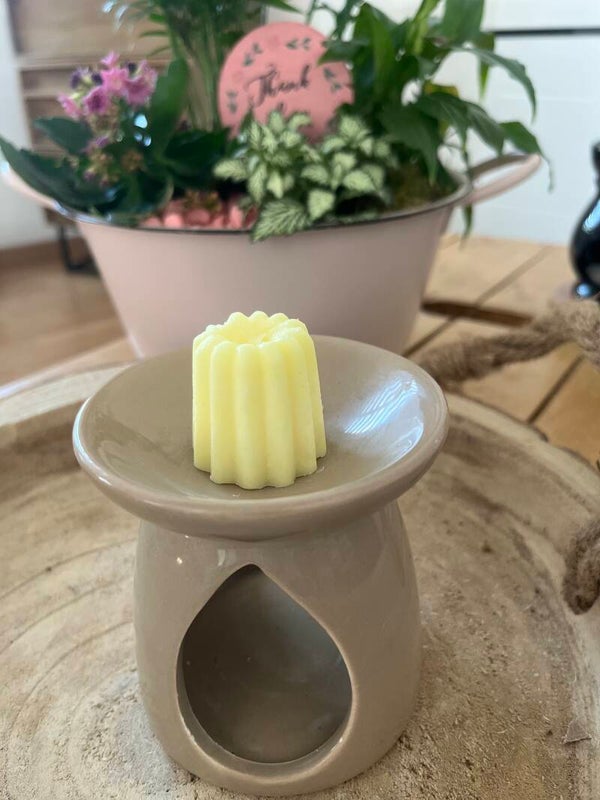 Fondant solide parfum citronnelle géranium