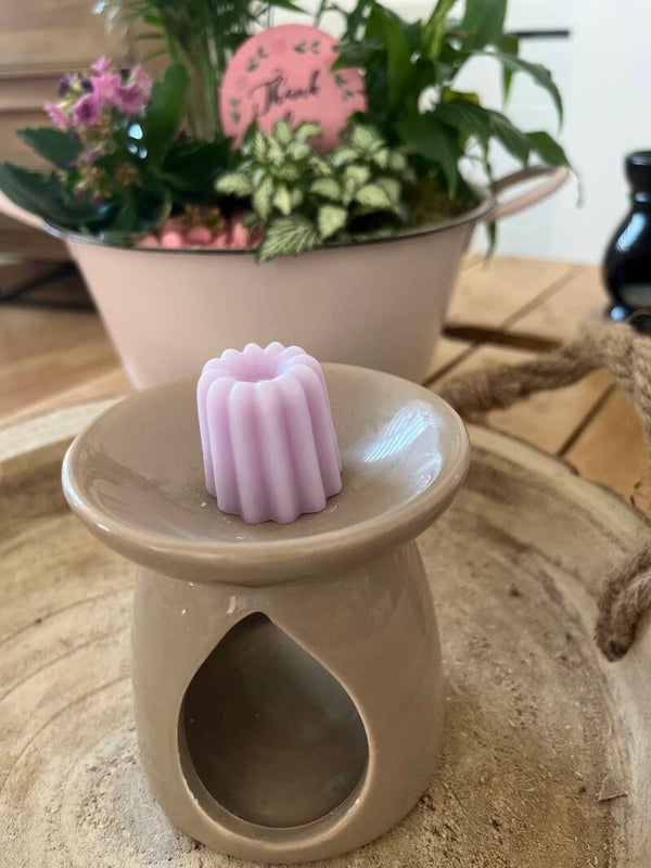 Fondant solide parfum fruit du dragon
