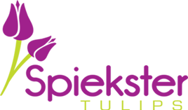 logo-1-standard-dyg682.png
