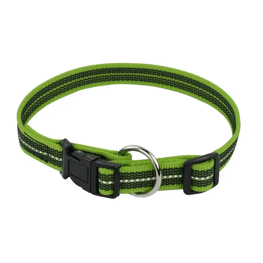 Collier gomme réfléchissant