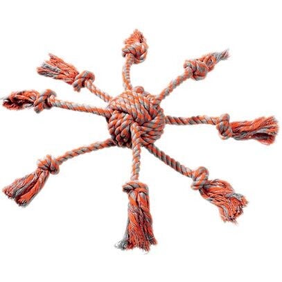 Jouet corde poulpe chien