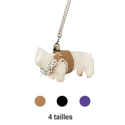 Ensemble Harnais et laisse Air Mesh