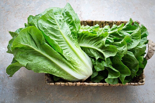 INSALATA LATTUGA