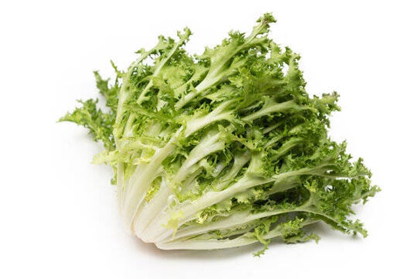 INSALATA RICCIA
