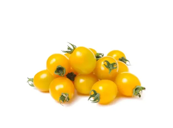POMODORO DATTERINO GIALLO SICILIA