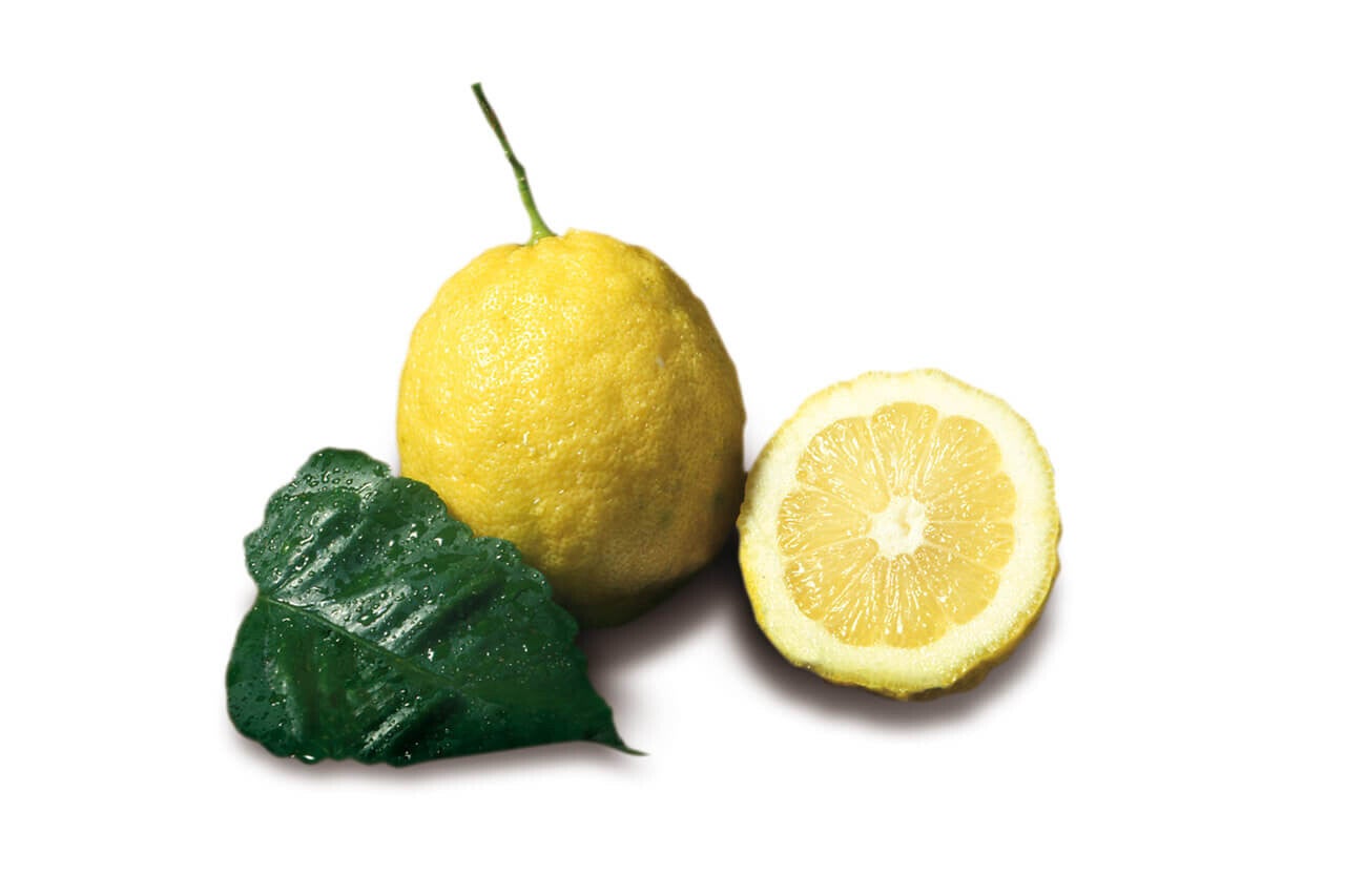 LIMONI AMALFI