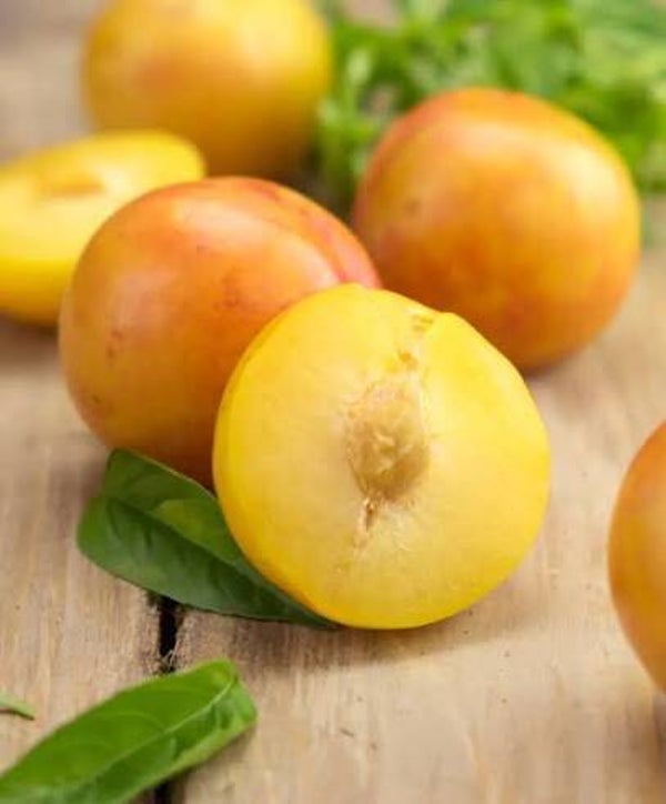 SUSINE GIALLE ITALIA 1KG