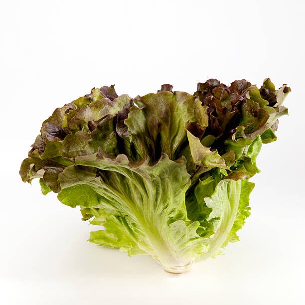 INSALATA CANASTA