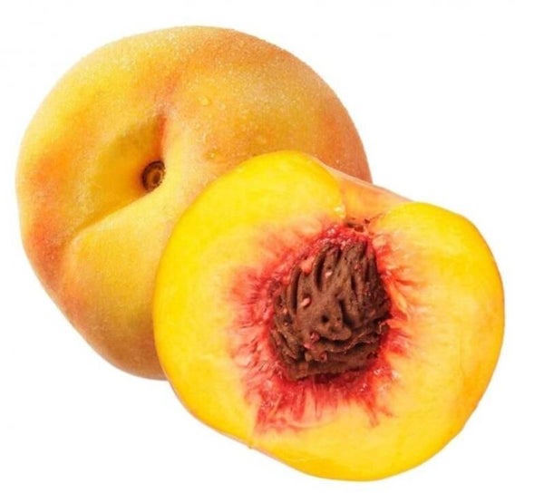 PESCA PERCOCHE SPAGNA 1KG