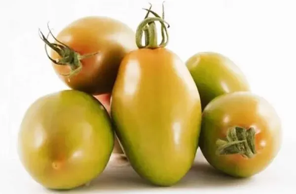 POMODORO NERINA SICILIA 1KG