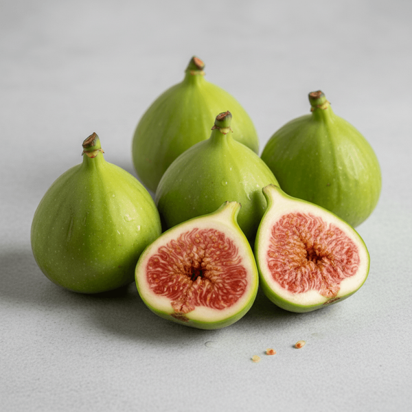 FICHI VERDI LATINA