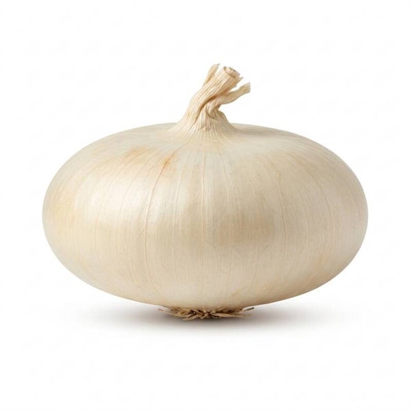 CIPOLLA PIATTA DA FORNO 1KG