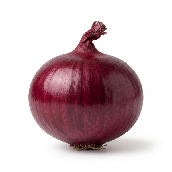 CIPOLLA ROSSA VITERBO