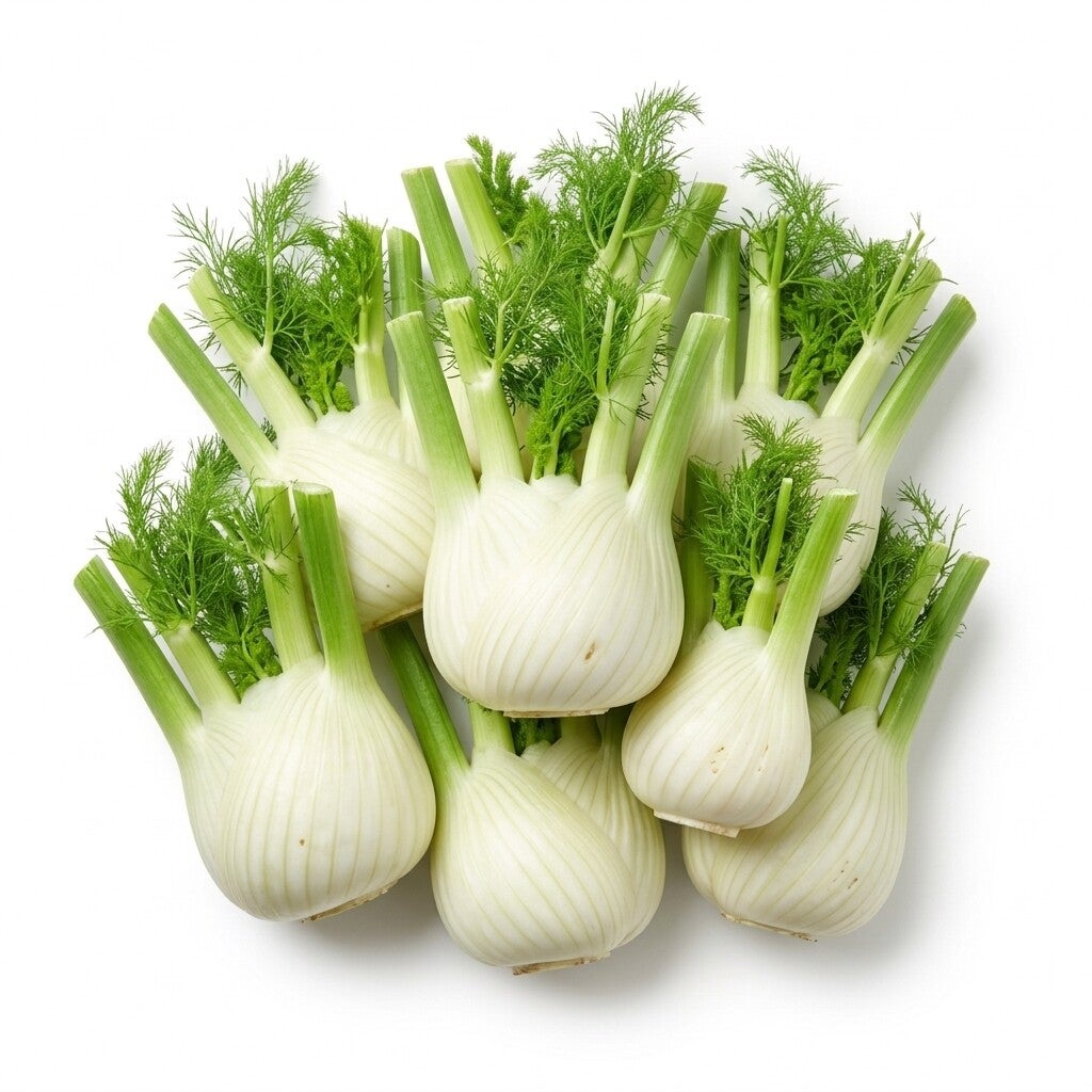 FINOCCHI ITALIA 1KG