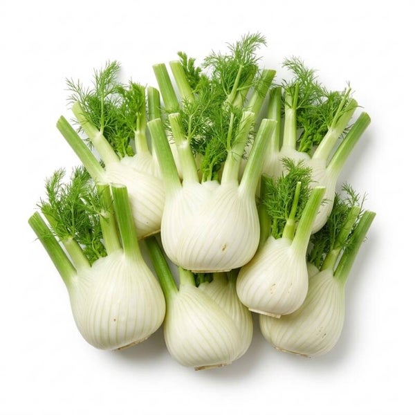 FINOCCHI ITALIA 1KG