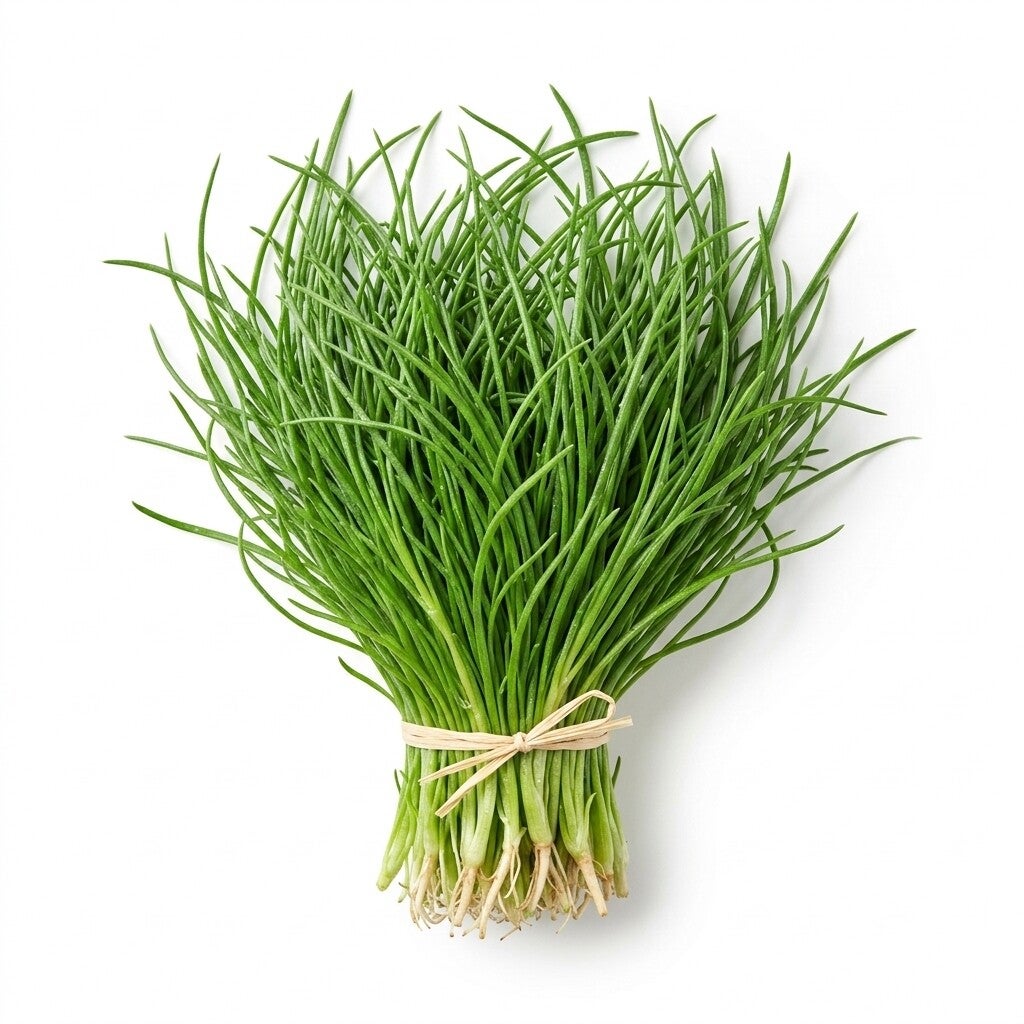 AGRETTI ITALIA 1 MAZZO