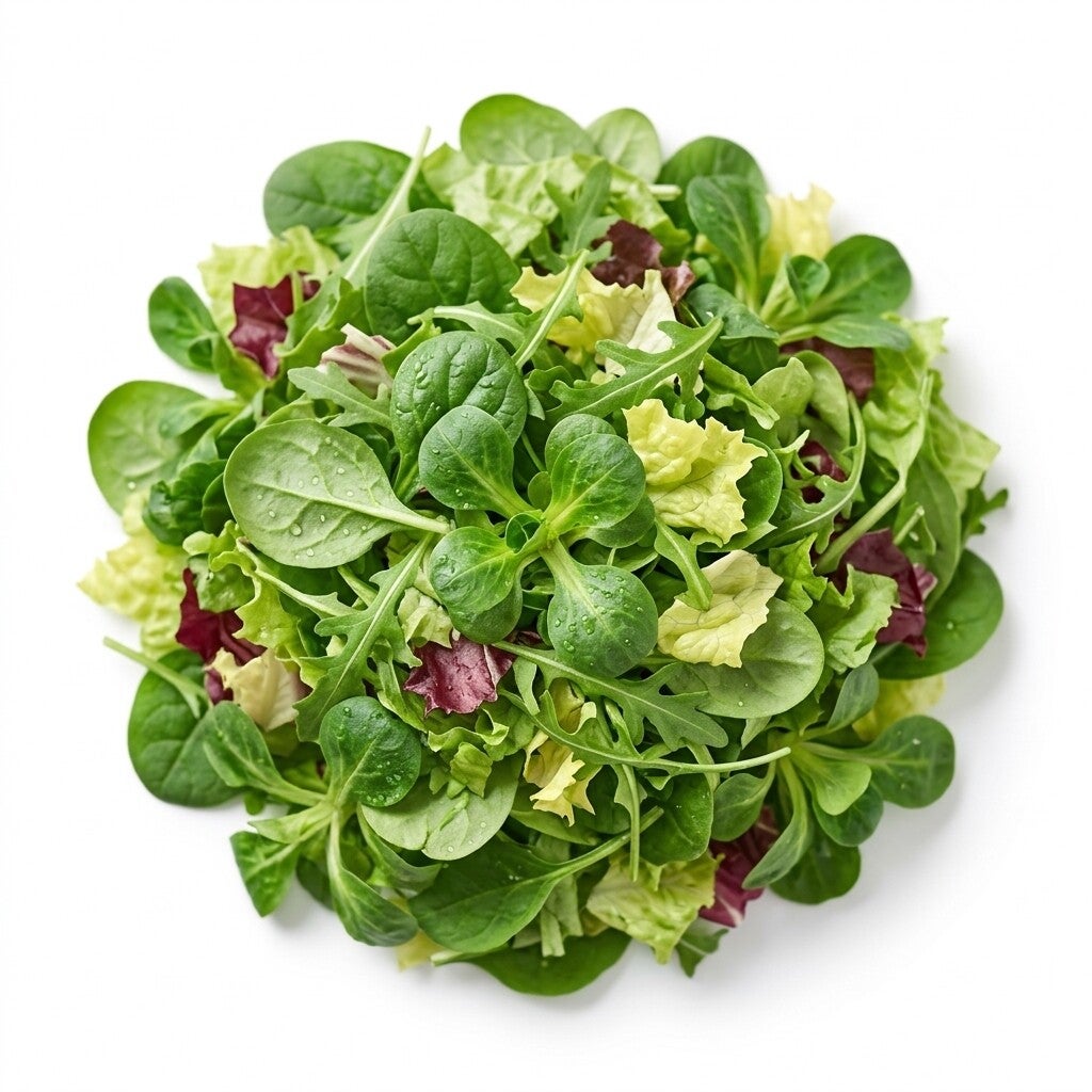 INSALATINA PRONTA 500GR