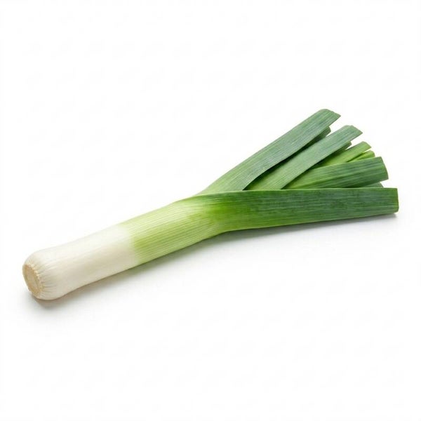 PORRO